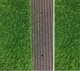 休閑草